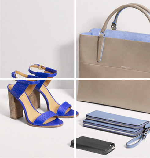 coach wallets india