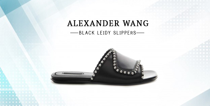 Alexander Wang Alexander Wang