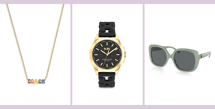 Top Luxury Accessories Brands Coach with Black Sunglasses and Watches