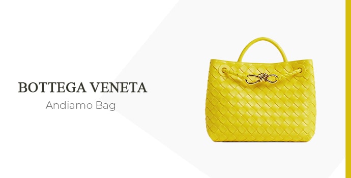 Bottega Veneta Andiamo Bag
