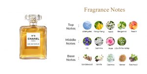 Chanel No 5 Perfume Review Does It Live Up To The Hype chanel-no-5-perfume-review-does-it-live-up-to-the-hype