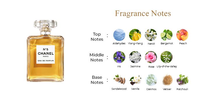 chanel no 5 perfume review fragrancee notes