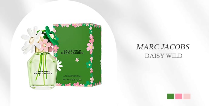 MJs Daisy Wild