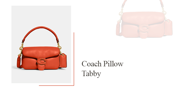Coach Pillow Tabby