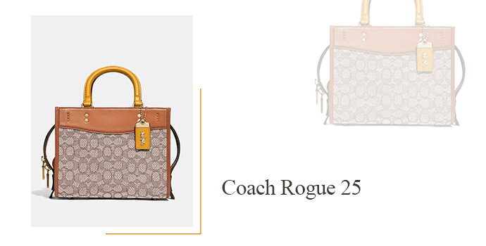 Coach Rogue 25