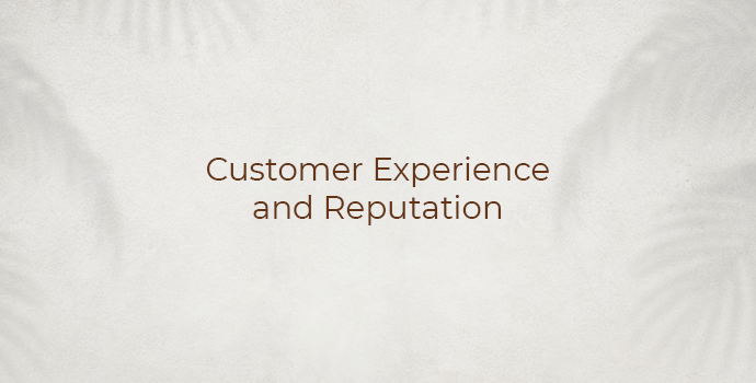 Customer Experience and Reputation
