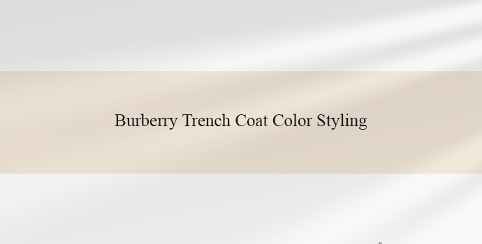 Burberry Trench Coat Color Styling