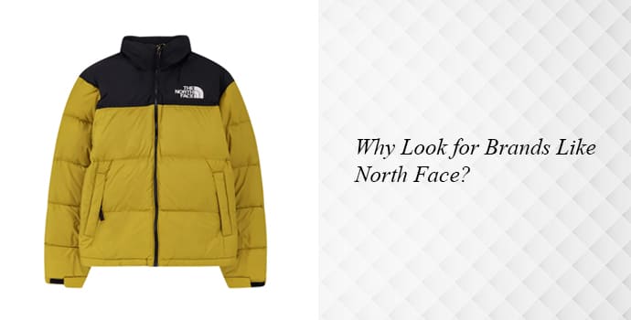 Why Look for Brands Like North Face