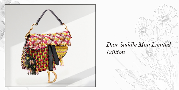 Dior Saddle Mini Limited Edition