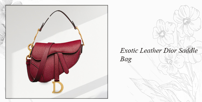 Exotic leather Dior saddlebag