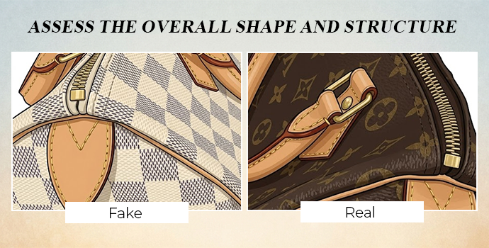 Step 9- Assess the Overall Shape and Structure