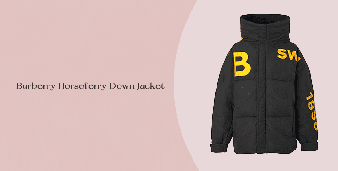 16. Burberry Horseferry Down Jacket