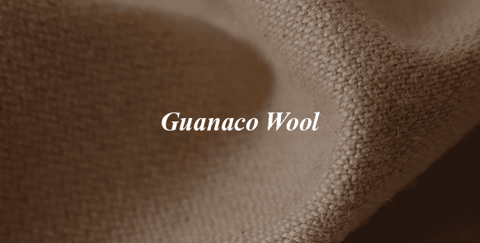 2. Guanaco Wool