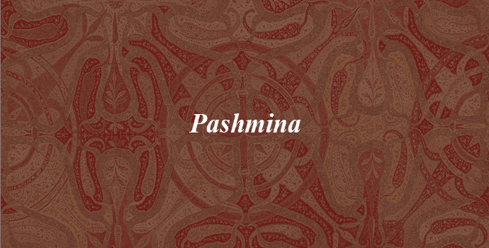 5. Pashmina