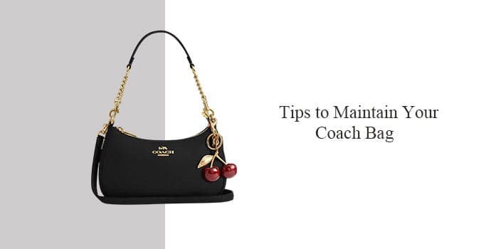 Tips to Maintain Your Coach Bag 
