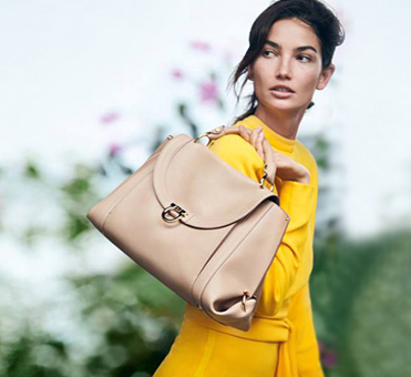 darveys bags